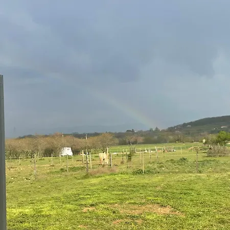 De Jardin Neuf * Étoile-sur-Rhône