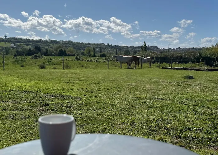 De Jardin Neuf Ferienhaus Étoile-sur-Rhône